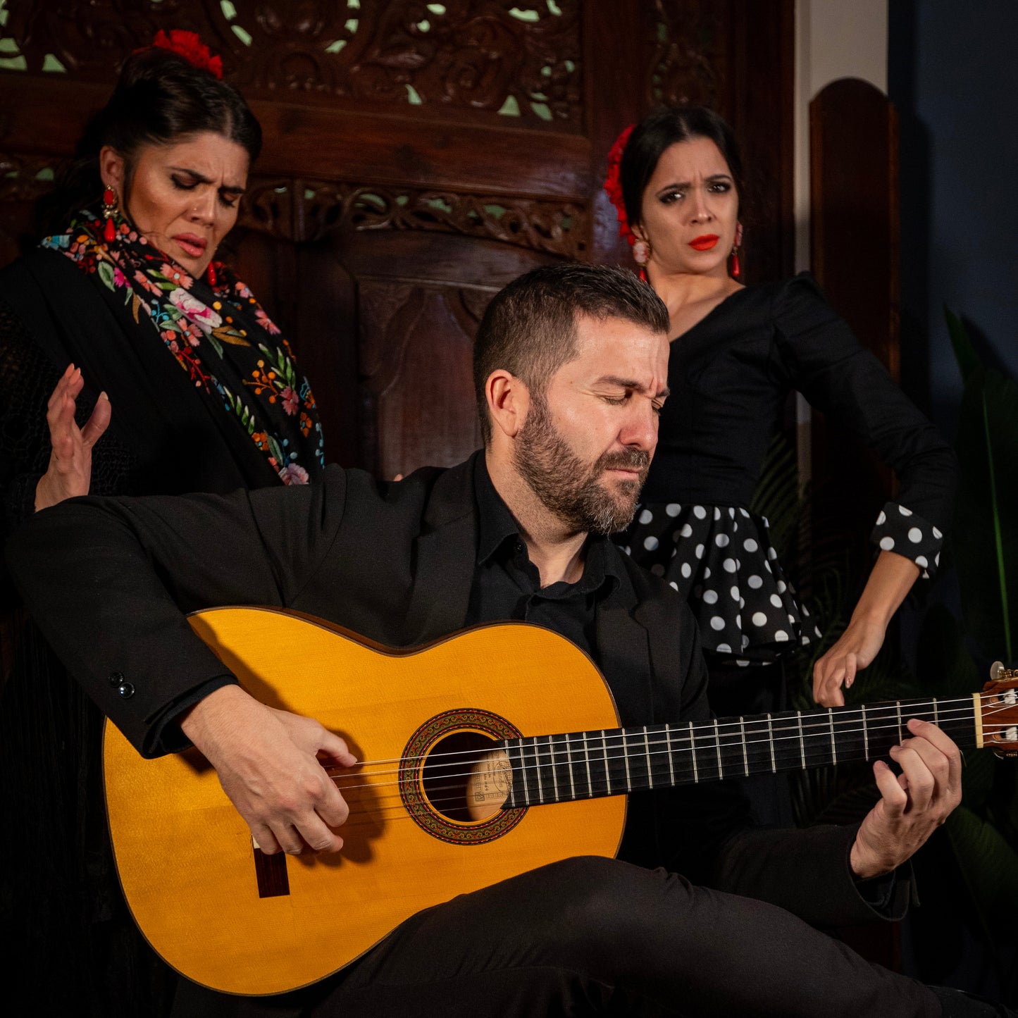 Flamenco - Entrada General